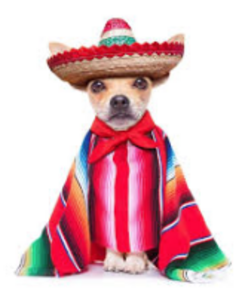 cinco de mayo